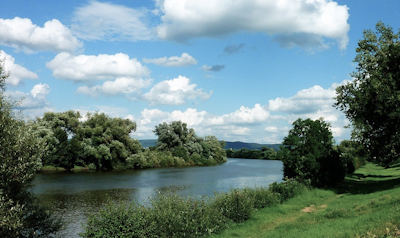 Flusslandschaft Aller bei Celle