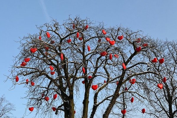 Zum Valentinstag romantische Geschenke im Baum